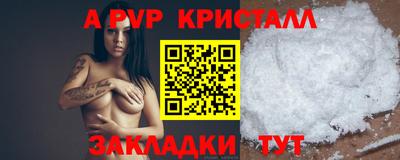 a pvp Кингисепп