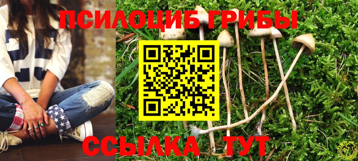 Вязники  Псилоцибиновые грибы ЛСД  Вход с VPN 